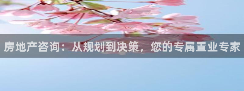 和记旗舰官网：房地产咨询：从规划到决策，您的专属置业专家