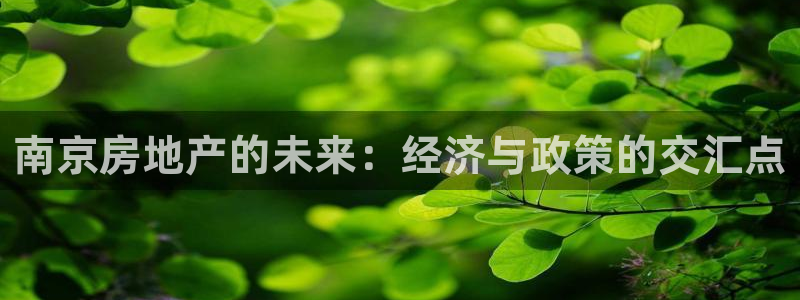 和记黄埔m 官网：南京房地产的未来：经济与政策的交汇点