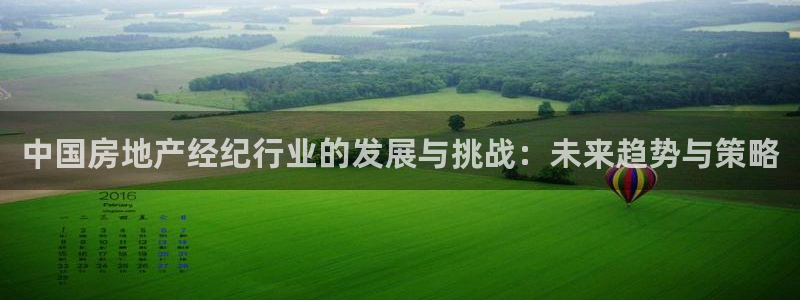 和记怡情视频官网：中国房地产经纪行业的发展与挑战：未来趋势与