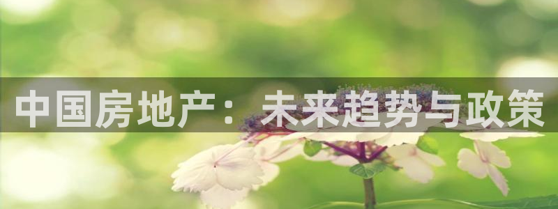 和记国际官网电话：中国房地产：未来趋势与政策