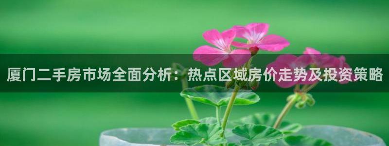 桃源记九游和官网：厦门二手房市场全面分析：热点区域房价走势及