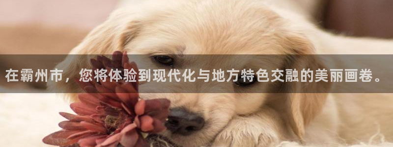 白云 和记黄埔官网：在霸州市，您将体验到现代化与地方特色交融