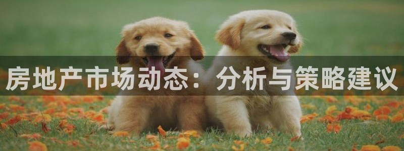 和记娱乐app官网登录：房地产市场动态：分析与策略建议