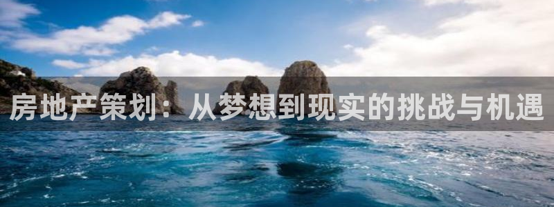 和记国际电讯官网：房地产策划：从梦想到现实的挑战与机遇