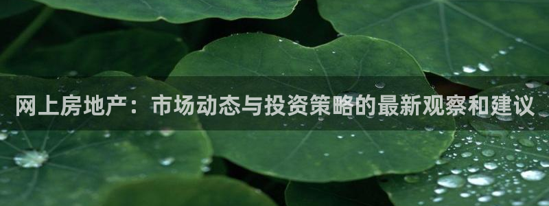 澳门和记官网：网上房地产：市场动态与投资策略的最新观察和建议