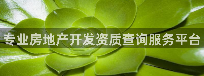 和记怡情博娱官网：专业房地产开发资质查询服务平台