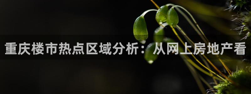 白云 和记黄埔官网电话：重庆楼市热点区域分析：从网上房地产看