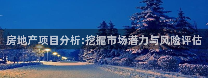 和记旗舰官网：房地产项目分析:挖掘市场潜力与风险评估