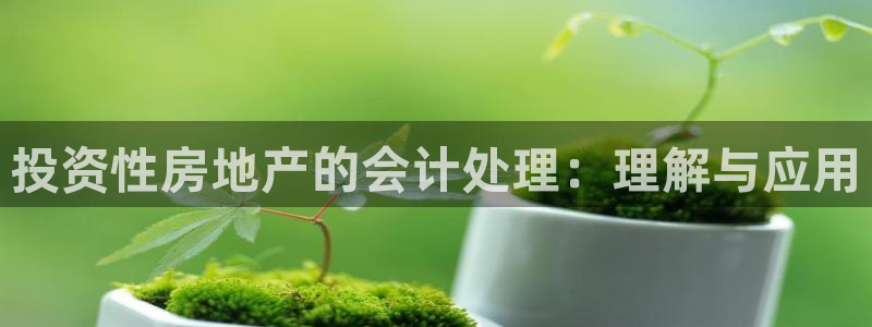 和记官网ap：投资性房地产的会计处理：理解与应用