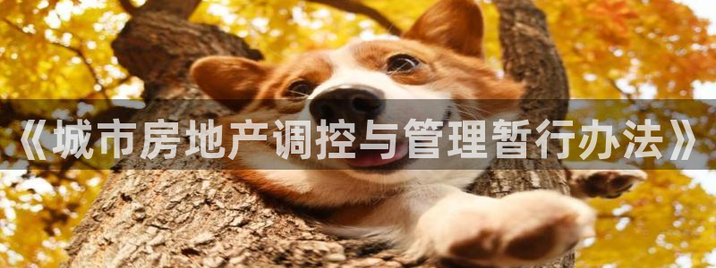 和记平台官网：《城市房地产调控与管理暂行办法》