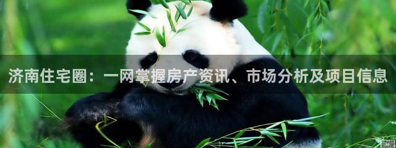 和记官网客户端：济南住宅圈：一网掌握房产资讯、市场分析及项目