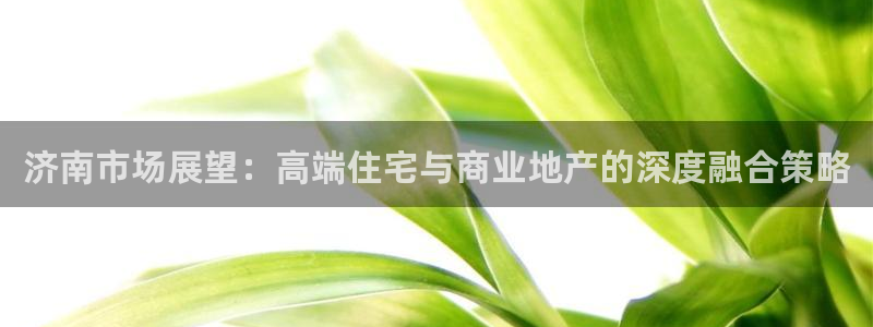 和记环球电讯官网：济南市场展望：高端住宅与商业地产的深度融合
