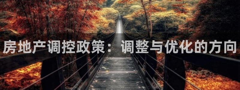 和记官网登录：房地产调控政策：调整与优化的方向