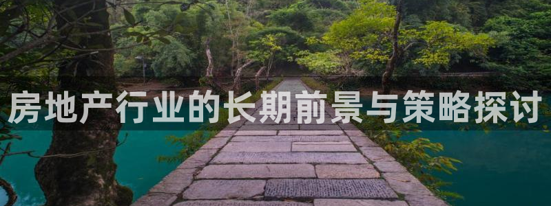 和记电信官网：房地产行业的长期前景与策略探讨