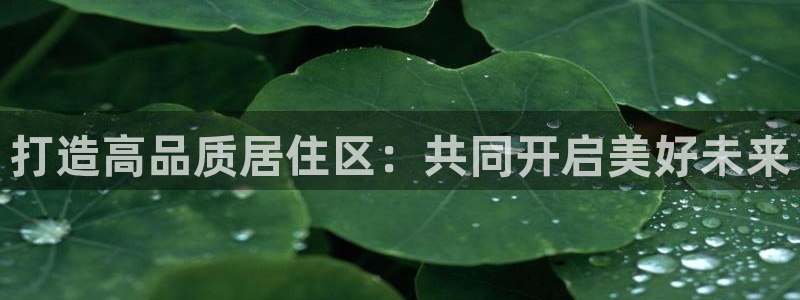 和元李记官网：打造高品质居住区：共同开启美好未来