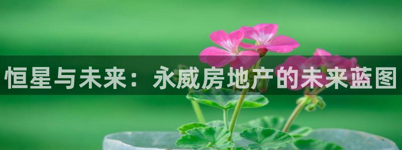 和记电讯3官网：恒星与未来：永威房地产的未来蓝图
